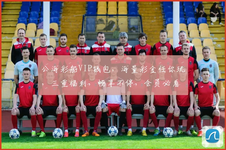 公海彩船VIP钱包，海量彩金任你玩，三重福利，畅享不停，会员必看，不容错过