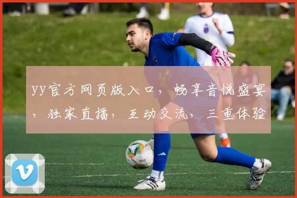 yy官方网页版入口，畅享音悦盛宴，独家直播，互动交流，三重体验，一网打尽