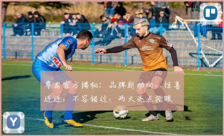 尊龙官方揭秘：品牌新动向，惊喜连连，不容错过，两大亮点抢眼