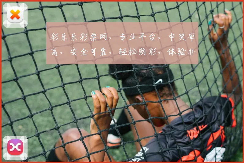 彩乐乐彩票网，专业平台，中奖率高，安全可靠，轻松购彩，体验非凡，必看攻略